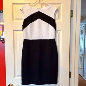 Calvin Klein Dress